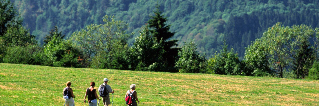 Les sorties de Septembre 2018