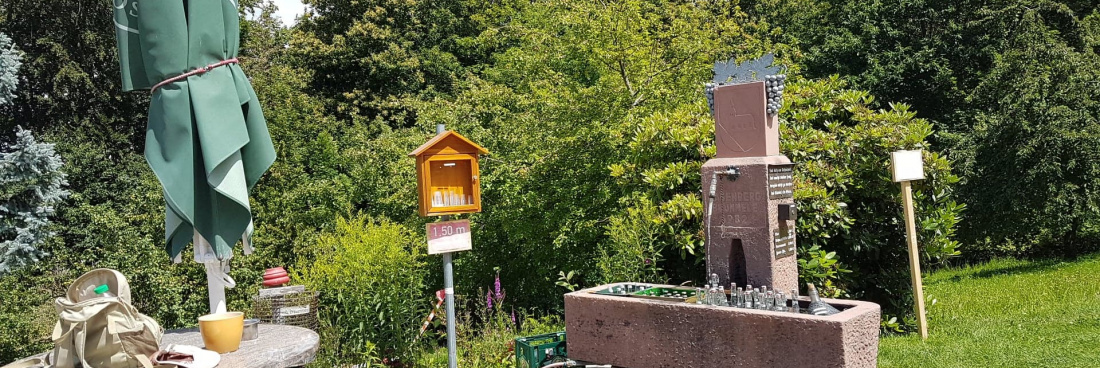 Retour sur la Randonnée aux fontaines à schnaps Sasbachwalden. Allemagne, 8 juillet 2020