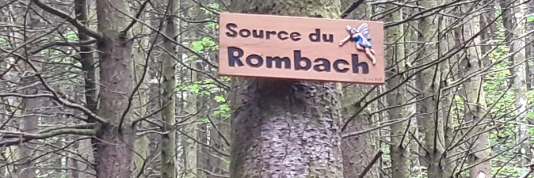 Sortie vin nouveau, dimanche 21 octobre 2018