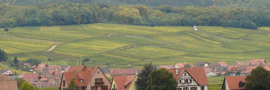 Balade sur les hauteurs d’Andlau du 29/09/2019