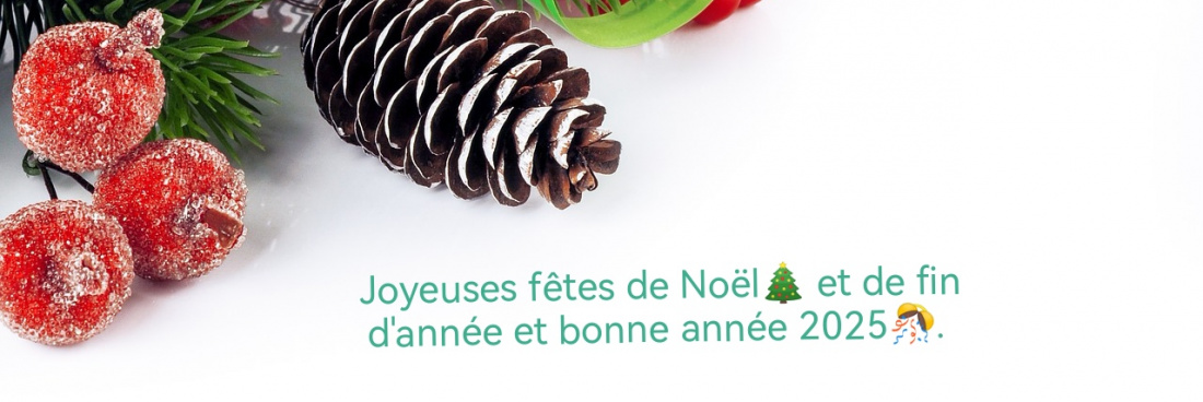 Joyeuses fêtes de Noël et de fin d&rsquo;année