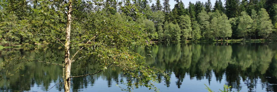 Carnet de randonnée Club Vosgien Lièpvre Rombach Ie franc, randonnée du 30 juillet 2024 au lac de La Maix