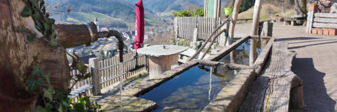 Randonnée forêt Noire, sentier des moulins 8 fontaines à schnaps, Le vendredi 1er août 2025