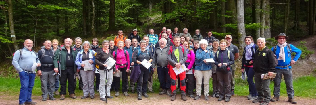 Promotion « 2019 – Massif du Mont Sainte-Odile »