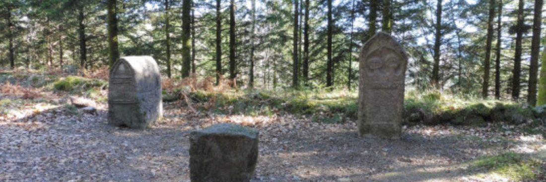 Randonnée au camp Celtique de la Bure à  St Dié, le dimanche 26 janvier 2025