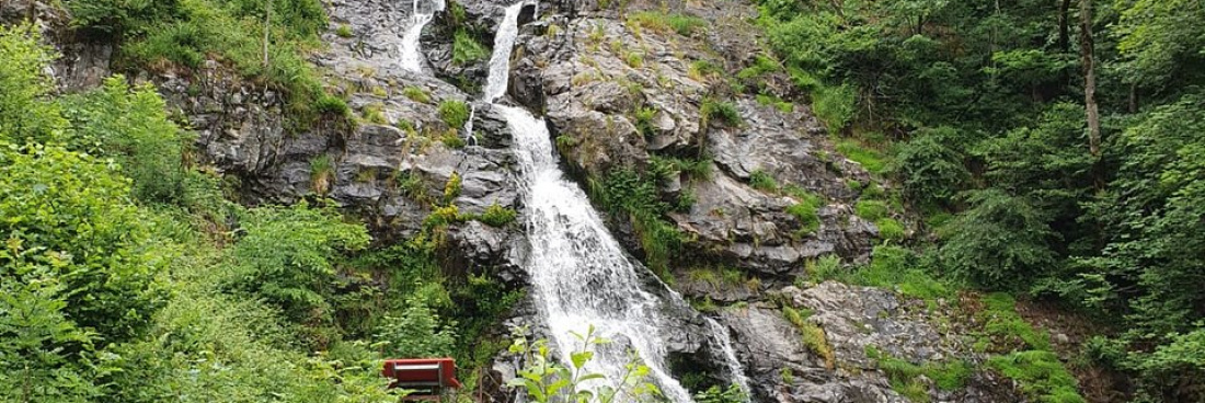 Randonnée pédestre à la  » Cascade Todtnau », Allemagne