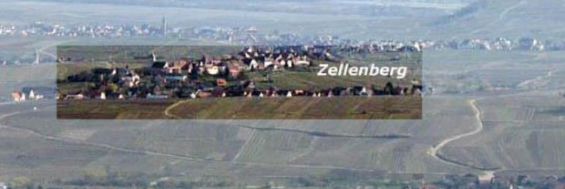 Randonnée dans le piémont vignoble Zellenberg, le 25 février 2018