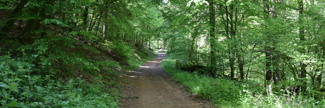 Les sorties de juillet 2023