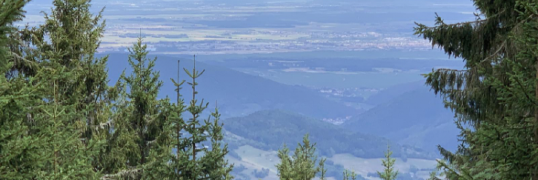 Les sorties d&rsquo;avril 2024