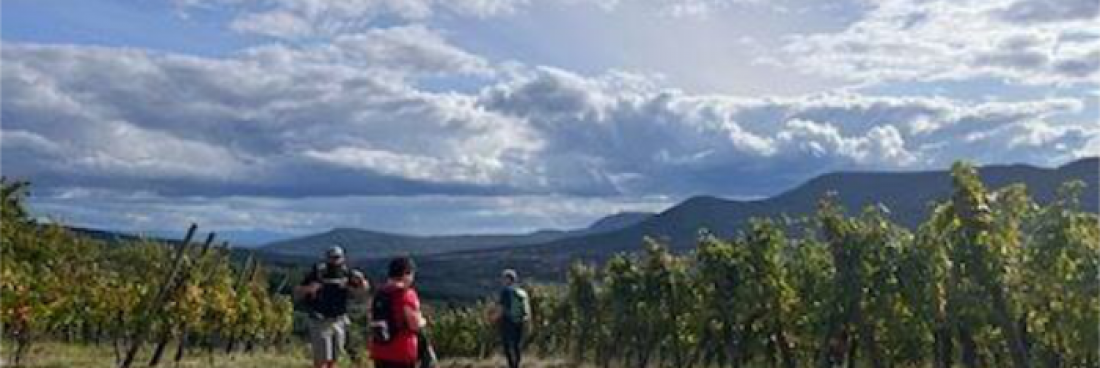 Retour sur la randonnée Balade Autour de Villé, du samedi 23 septembre 2023