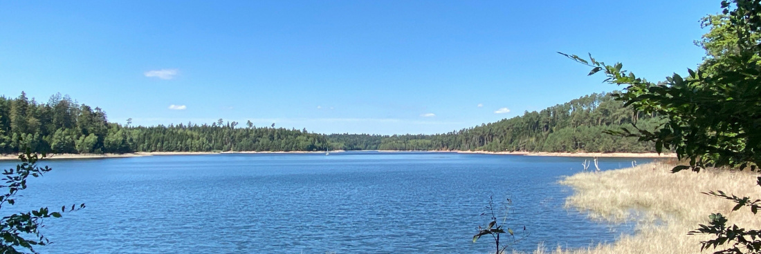 Les sorties de juillet 2024