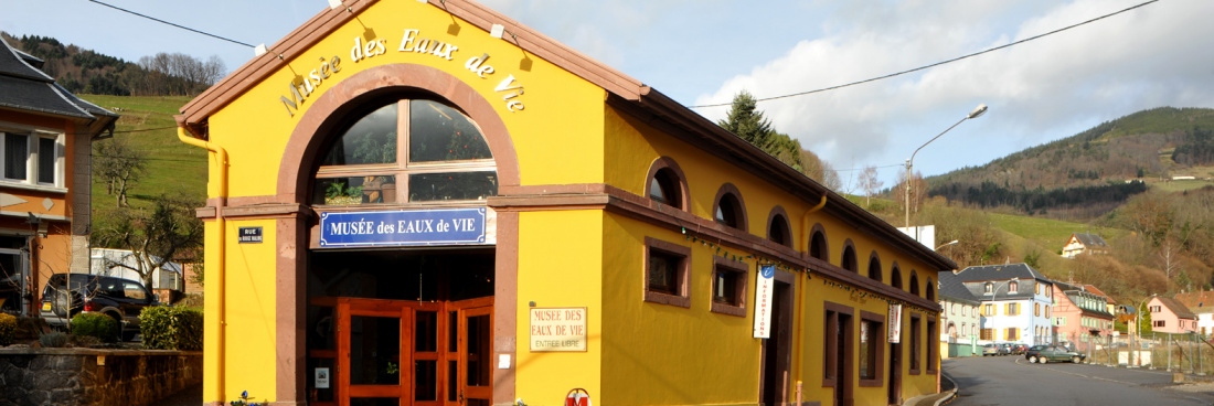 Randonnée guidée à Lapoutroie, dimanche 16 avril 2023