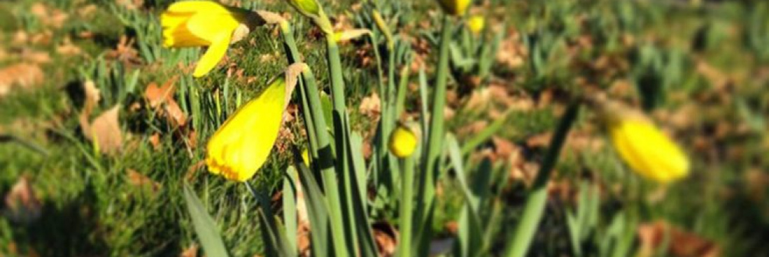 Les sorties d&rsquo;avril 2020