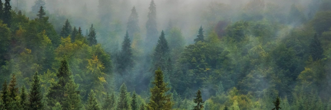 Randonnée à Clefcy sur Meurthe, le Défilé de Straiture, mardi 19 juillet 2022