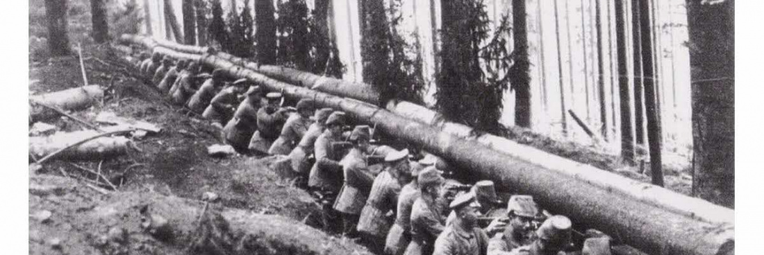 Les sorties de novembre 2019