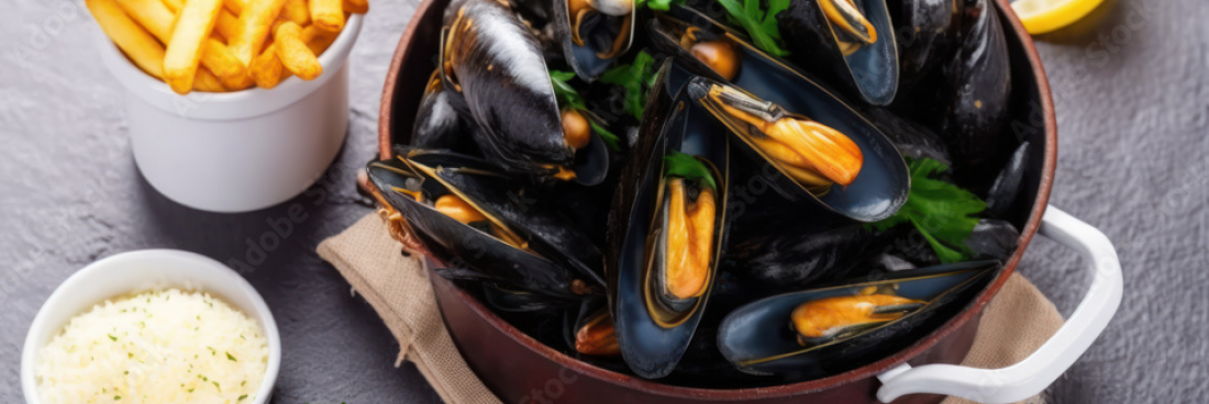 Les sortie de novembre 2024