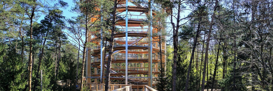 Les sorties d&rsquo;août 2022