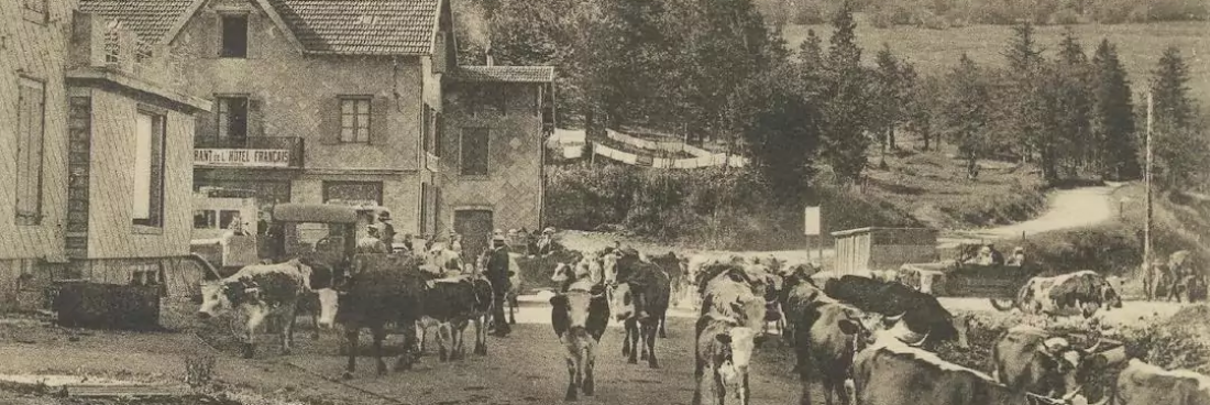 Les sorties de septembre 2021