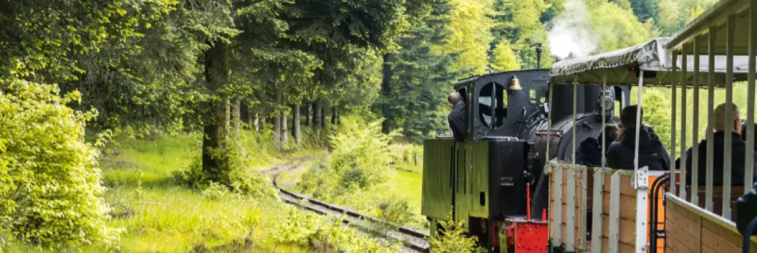 Les sorties d&rsquo;août 2023